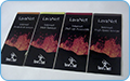 LavaNet brochure