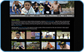 thb_web-24