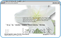 thb_web-26