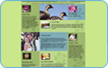 thb_web-29