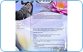 thb_web-3
