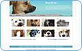 thb_web-4