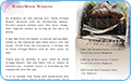 thb_web-41