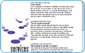 thb_web-43