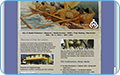 thb_web-54