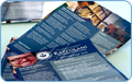 thb_web-67