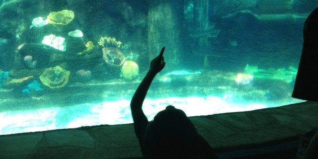 Sea Life Park